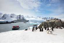 Antarktis Anlandung (© Silversea Cruises Ltd.)