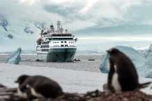 Silver Wind Antarktis & Pinguine (© Silversea Cruises Ltd.)
