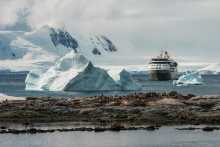 Silver Wind Antarktis & Pinguine I (© Silversea Cruises Ltd.)