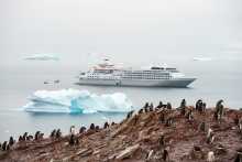 Silver Wind Antarktis & Pinguine II (© Silversea Cruises Ltd.)